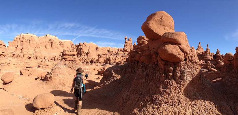 Here are 7 steps to rewild your habits and take control of your life: http://bit.ly/rewildhabit