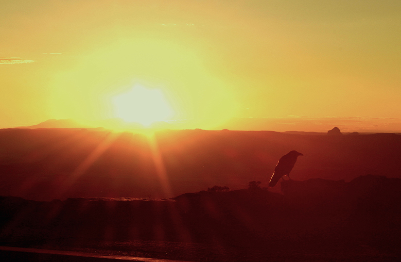 Here are 7 steps to rewild your habits and take control of your life: http://bit.ly/rewildhabit